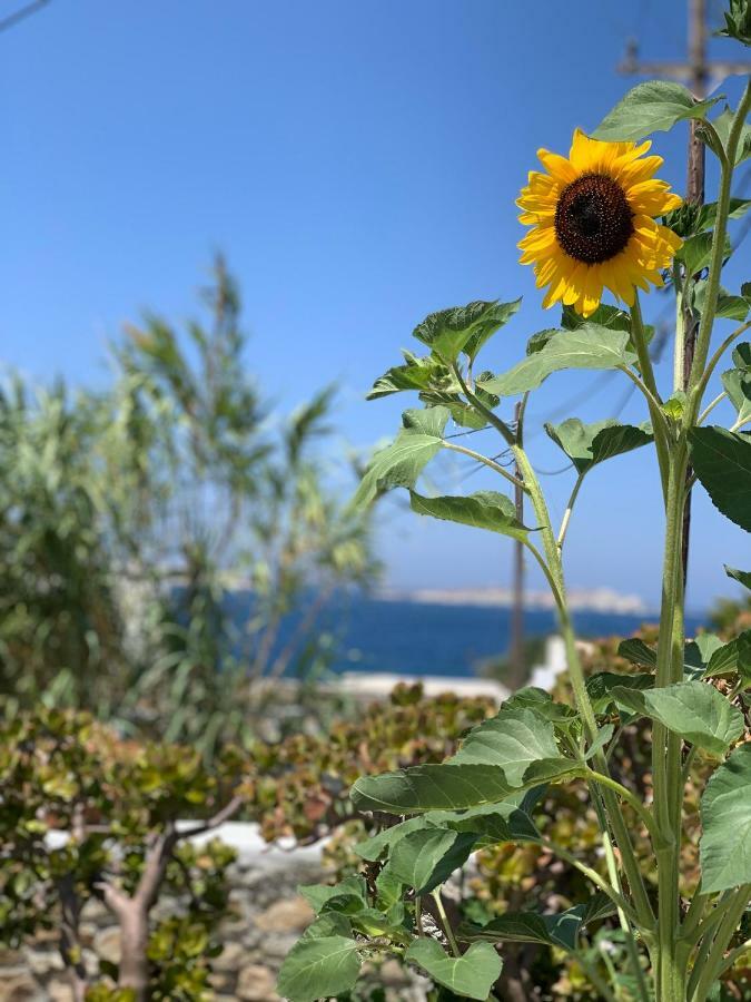 Secret Garden Apartments Mykonos Town Экстерьер фото